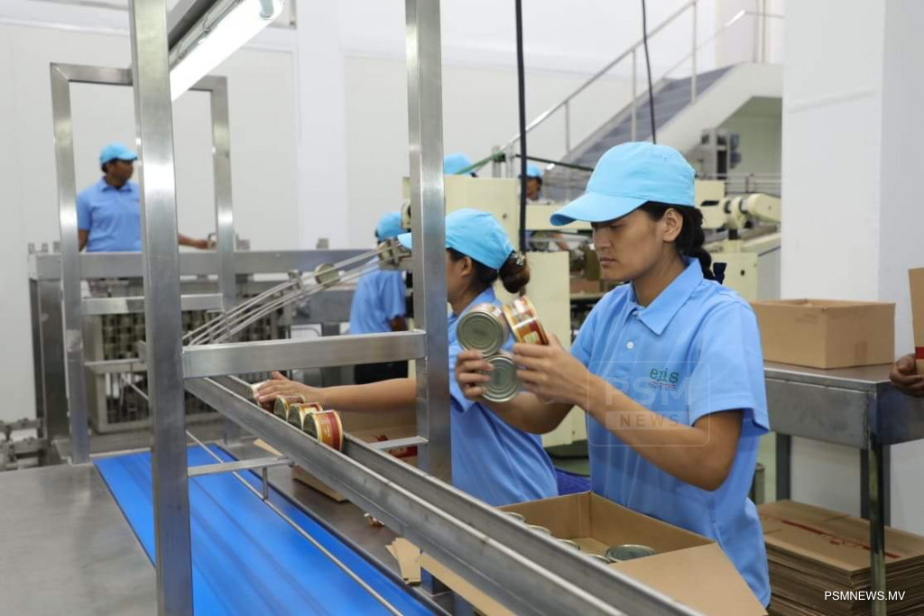 Ensis Cuts Free Ice, Analysts Blame MIFCO Fuel Advantage