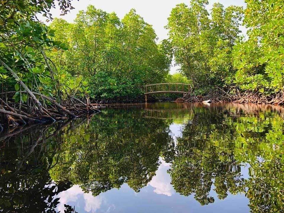 10 Islands Selected for First Phase of Nature Park Initiative