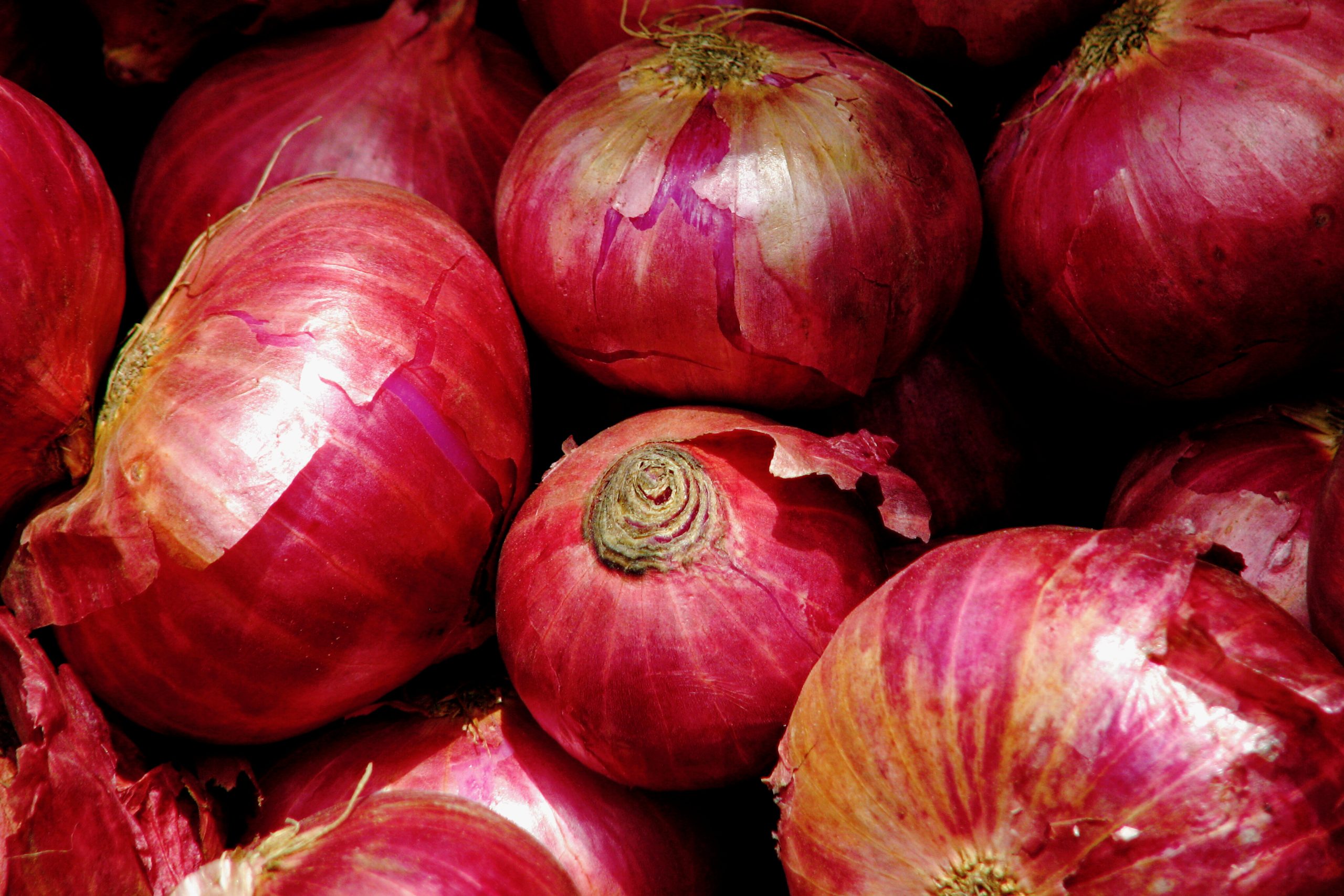 Maldives Onion Crisis: Public Relief on the Way Thanks to STO