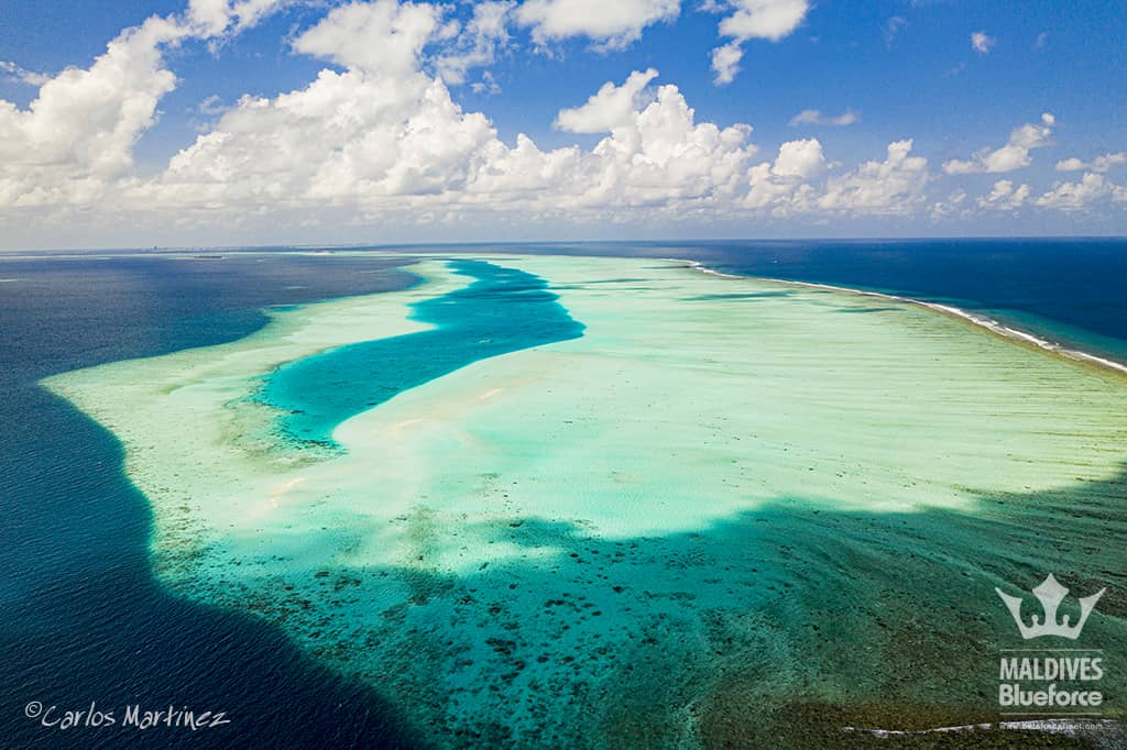 Dhonfanu Council hijacks Hanifaru reef: Tourism and national interests at risk