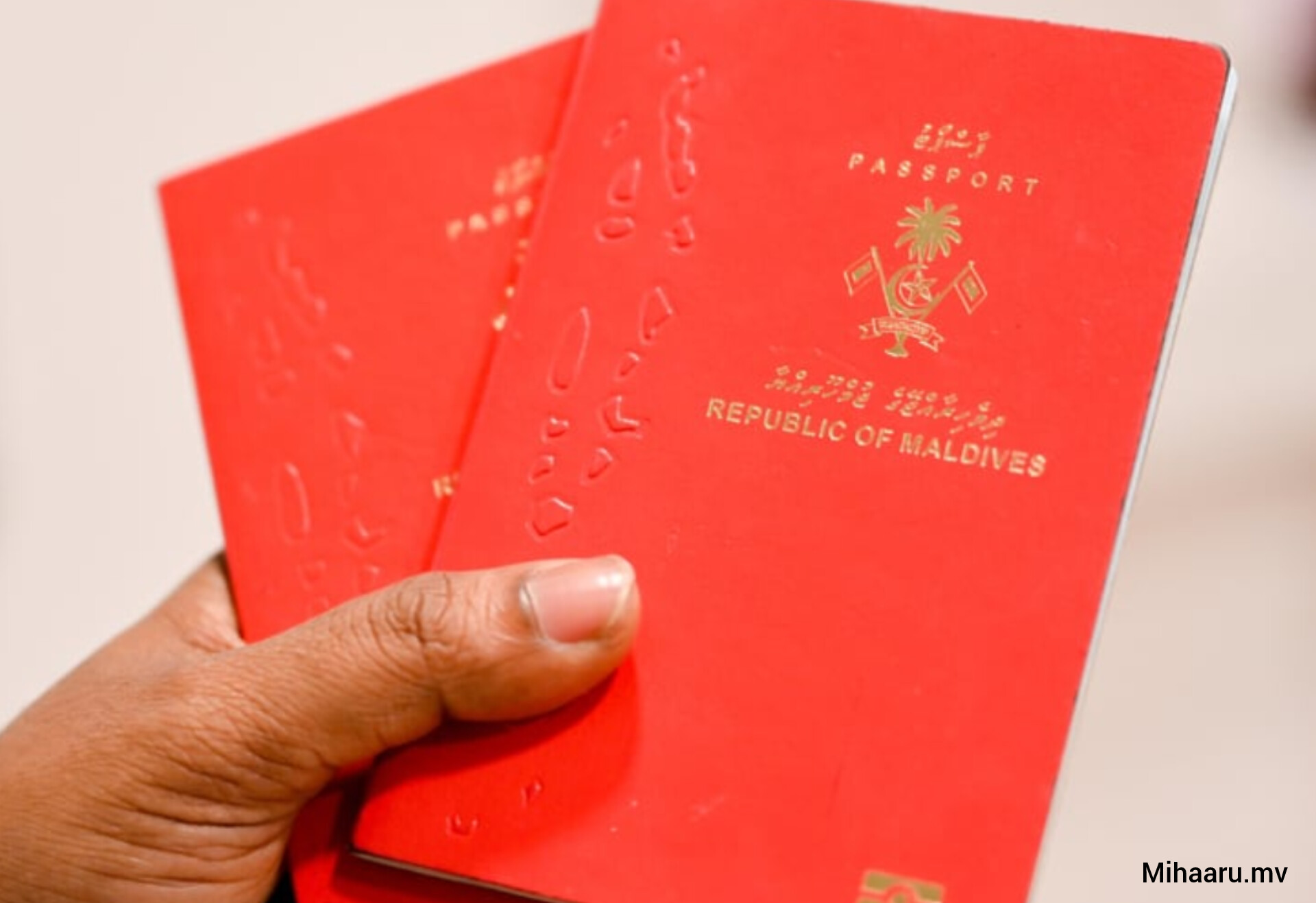 Immigration says ordinary passports remain fully valid for international travel amid temporary e-passport shortage
